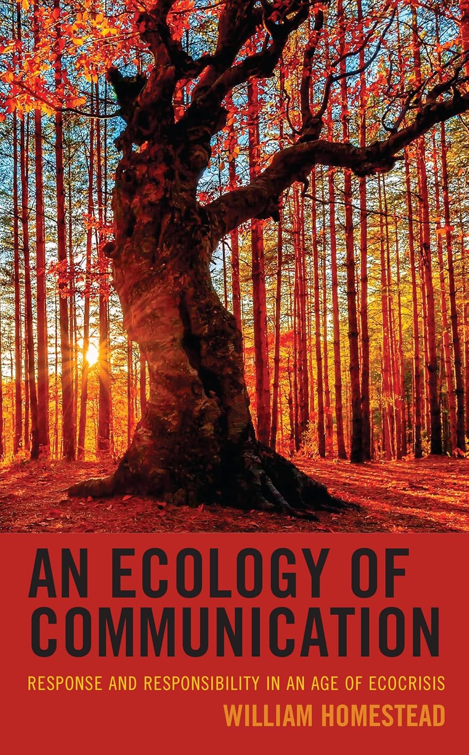 An Ecology of Communication book cover