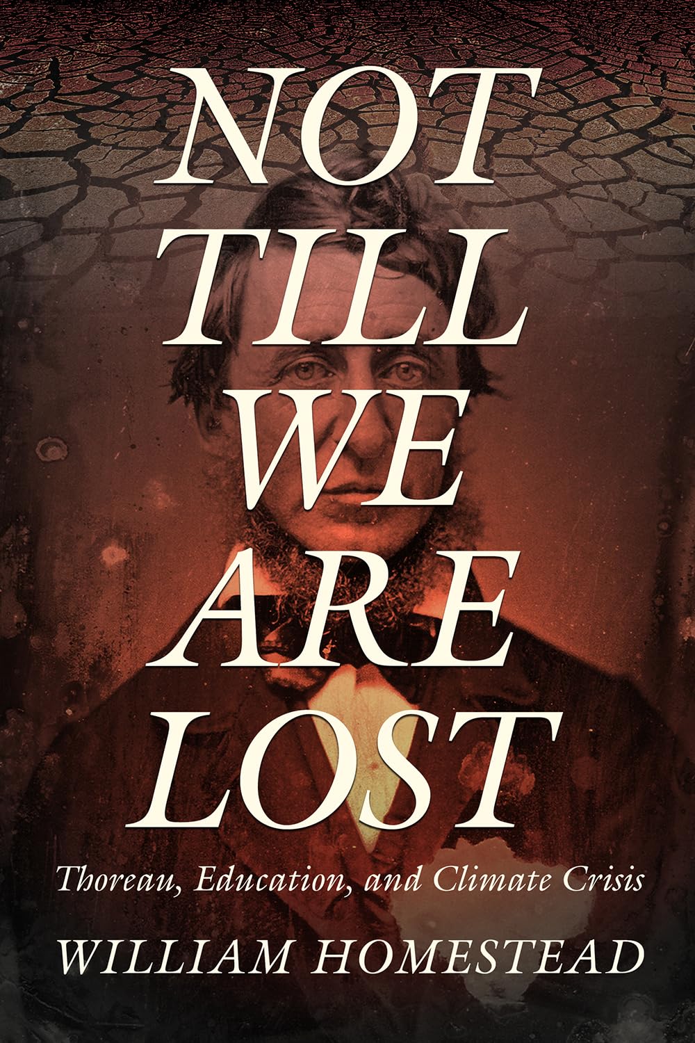 Not Till We Are Lost book cover